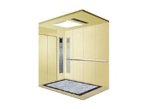 FUJI Bed Elevator